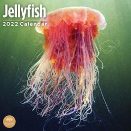 2025 Jellysfish Calendar