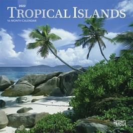 2025 Tropical Island Calendar