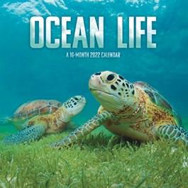2025 Ocean Life Calendar