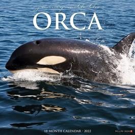 2025 Orca Whale Calendar