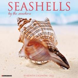2025 Seashells Calendar