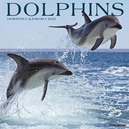 2025 Dolphins Calendar