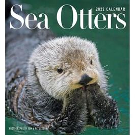 2025 Sea Otter Calendar