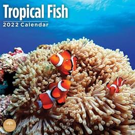 2025 Tropical Fish Calendar